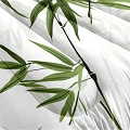 Green Bamboo Leaf Bedding Comforter Full Size White Botanical Leaves Comforter Set Modern Aesthetic Bedding Set Elegant Plants Quilt Soft Down Alternative Comforter Sets For Girls Boys